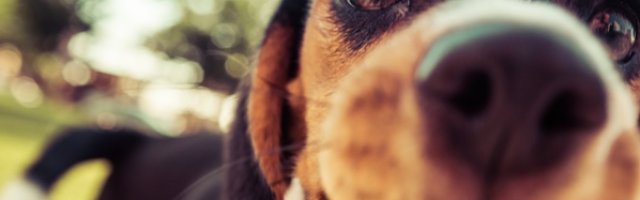 Photos de filles qui se changent  la plage et qui font pas gaffe