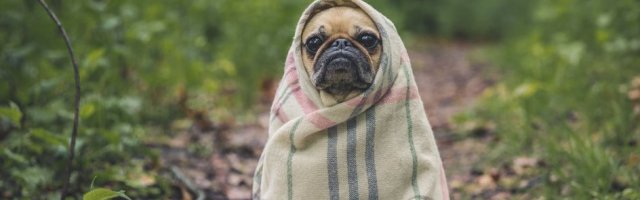 Un mec nique une femme avec un minou bien poilu et jacule dessus