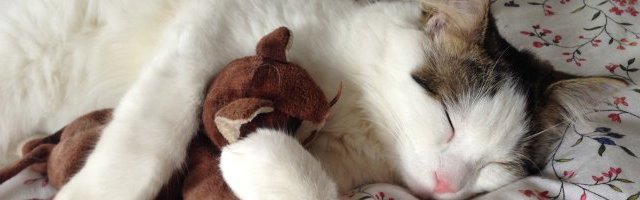 Gouines qui baisent en ciseaux, la position chatte contre chatte