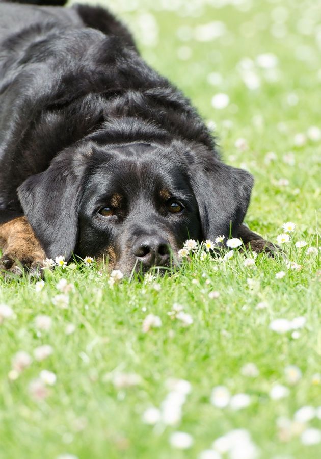 Photos de femmes en corset - photo 13/25 Photos de femmes en corset - photo 13/25