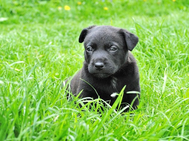 Photos de femmes en corset - photo 15/25 Photos de femmes en corset - photo 15/25