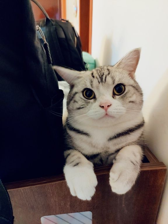 Photos de femmes en corset - photo 16/25 Photos de femmes en corset - photo 16/25