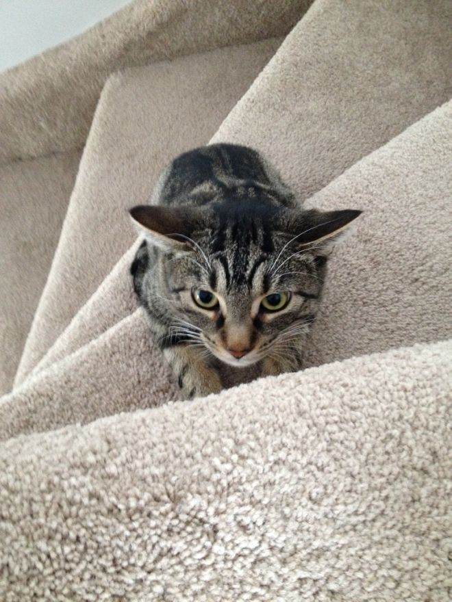 Photos de femmes en corset - photo 17/25 Photos de femmes en corset - photo 17/25