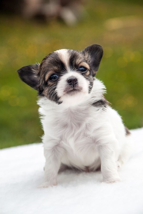 Photos de femmes en corset - photo 2/25 Photos de femmes en corset - photo 2/25