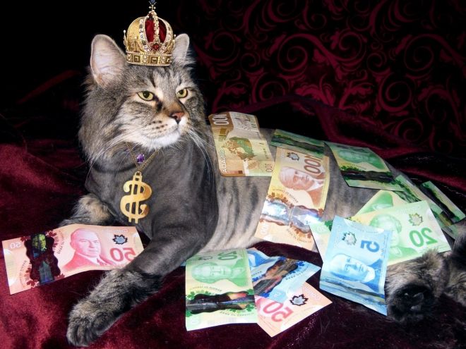 Photos de femmes en corset - photo 22/25 Photos de femmes en corset - photo 22/25