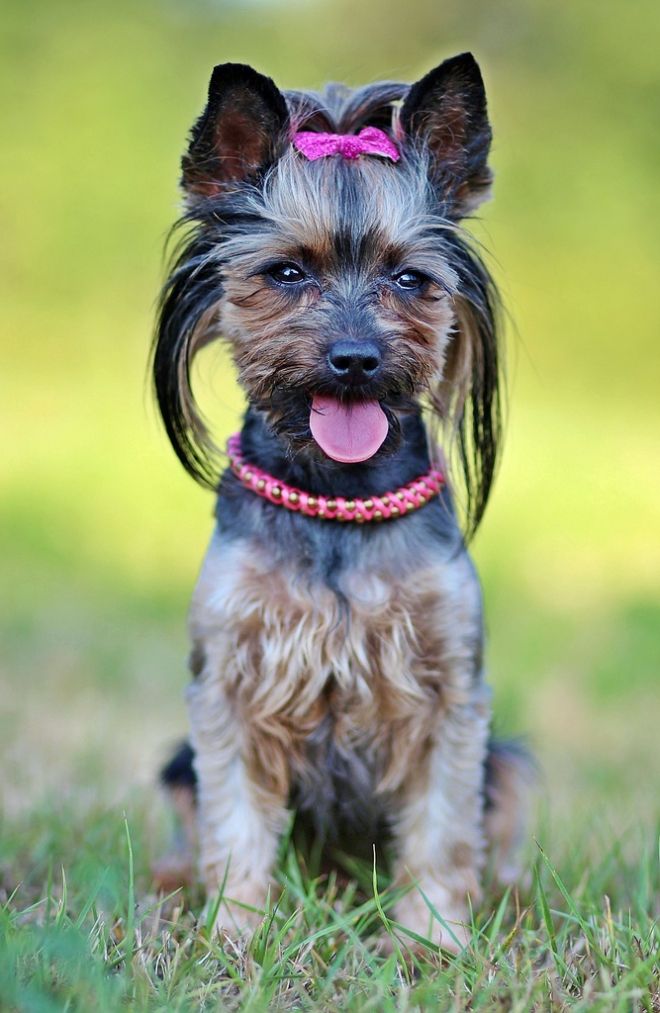 Photos de femmes en corset - photo 25/25 Photos de femmes en corset - photo 25/25