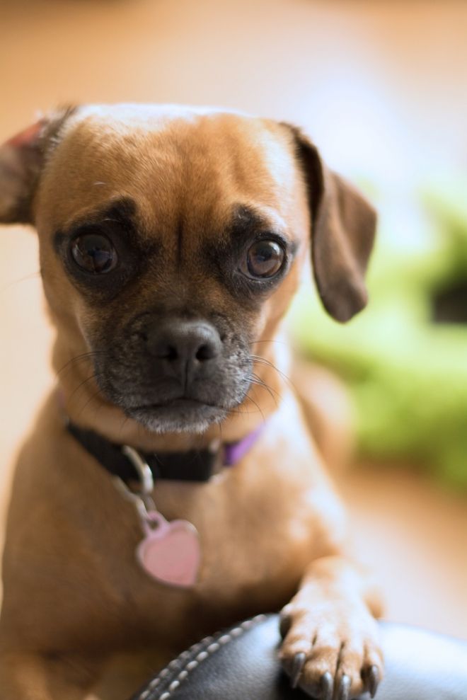 Photos de femmes en corset - photo 6/25 Photos de femmes en corset - photo 6/25