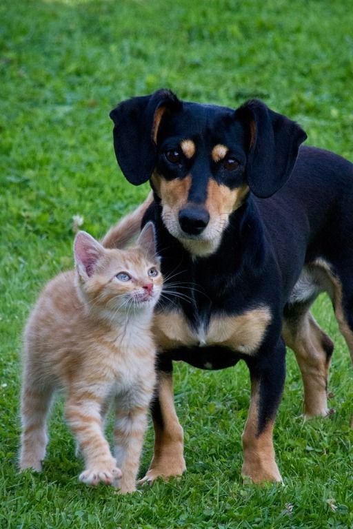 Photos de femmes en corset - photo 8/25 Photos de femmes en corset - photo 8/25