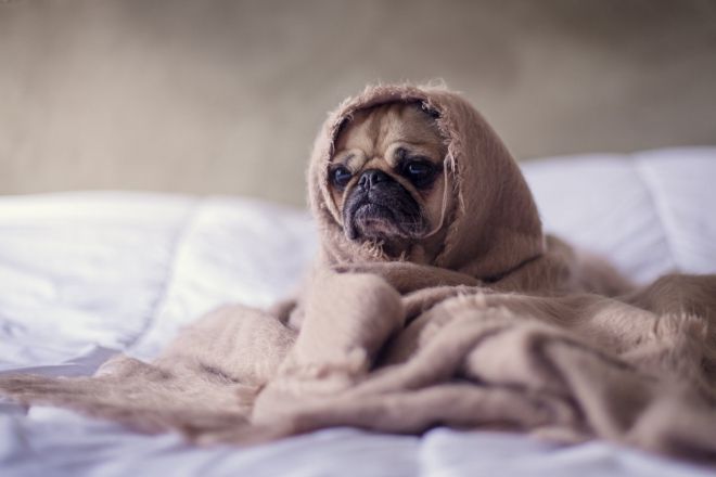 Grosse Chienne Francaise Qui Se Fait Enculer Par Deux Mecs