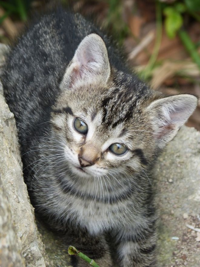 Cougar qui aime les jeunes bites - photo 5/6