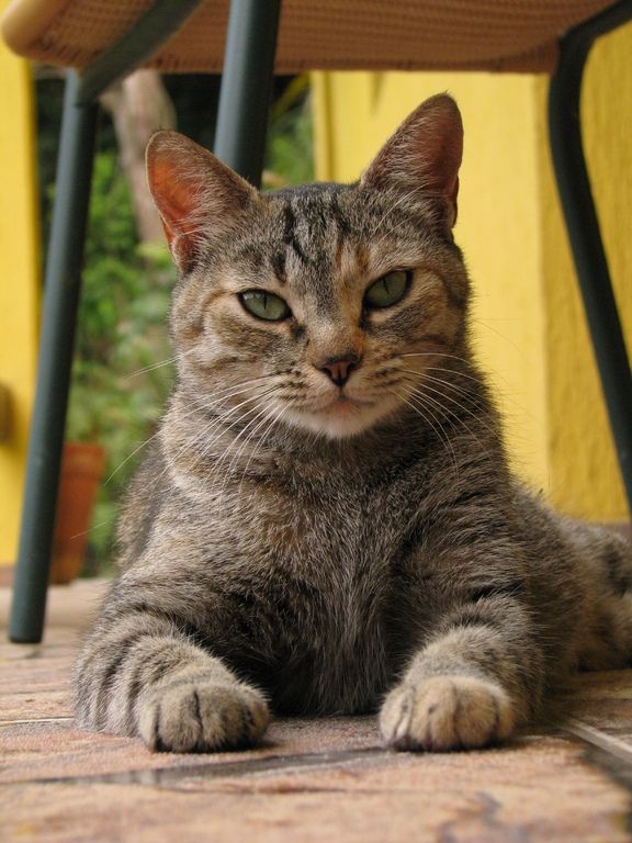 Mec qui cherche une salope sur Paris - photo 7/10