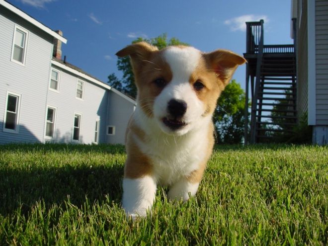 Photos de dogging - photo 1/25 Photos de dogging - photo 1/25