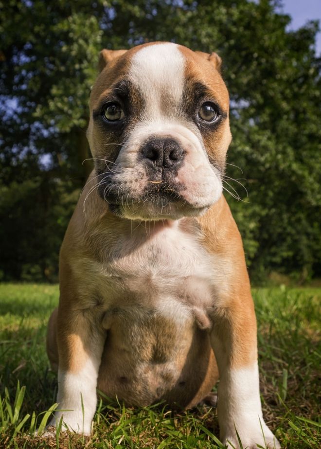 Photos de dogging - photo 10/25 Photos de dogging - photo 10/25