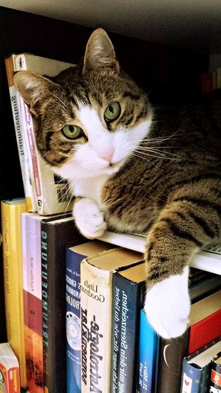 Photos de dogging - photo 20/25 Photos de dogging - photo 20/25