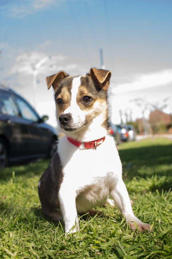 Photos de dogging - photo 22/25 Photos de dogging - photo 22/25