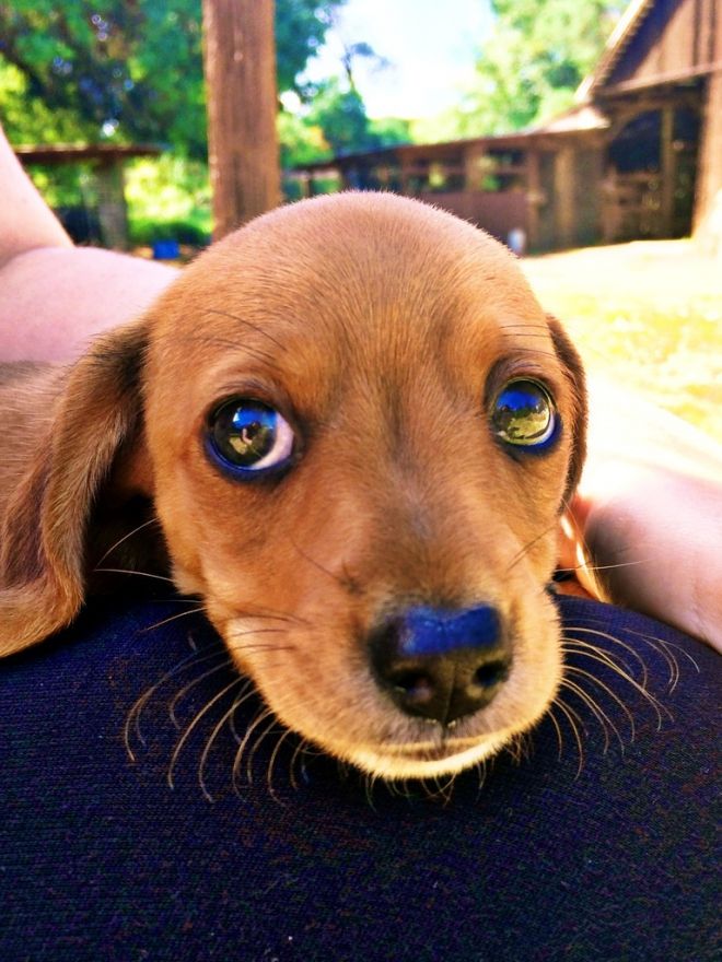 Photos de dogging - photo 23/25 Photos de dogging - photo 23/25