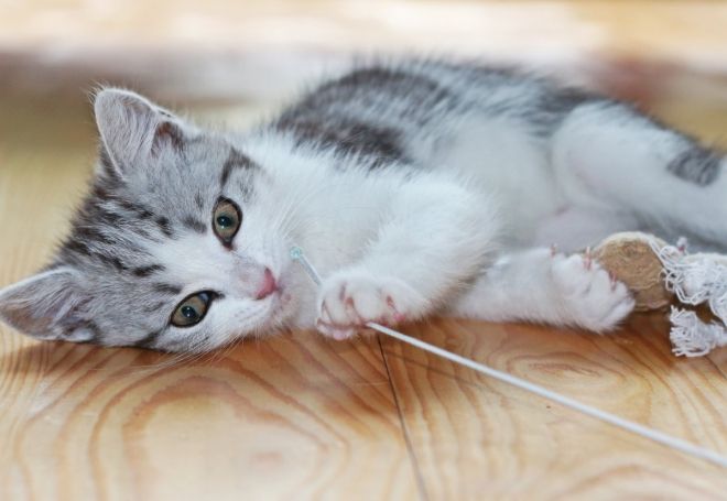 Photos de dogging - photo 3/25 Photos de dogging - photo 3/25