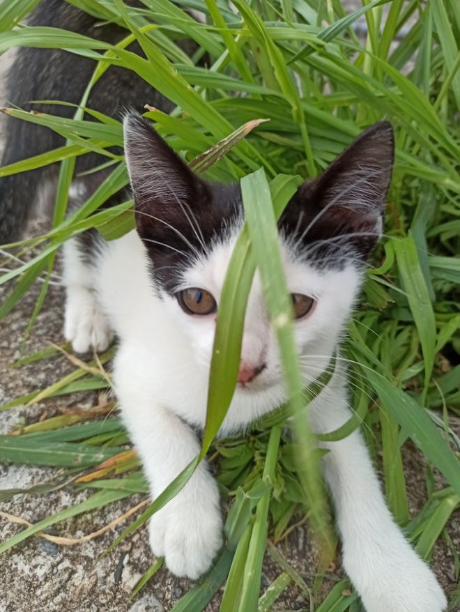 Photos de dogging - photo 8/25 Photos de dogging - photo 8/25