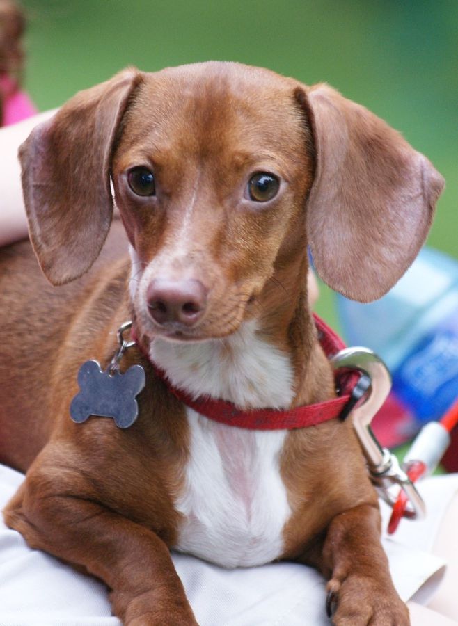 Photos de dogging - photo 9/25 Photos de dogging - photo 9/25