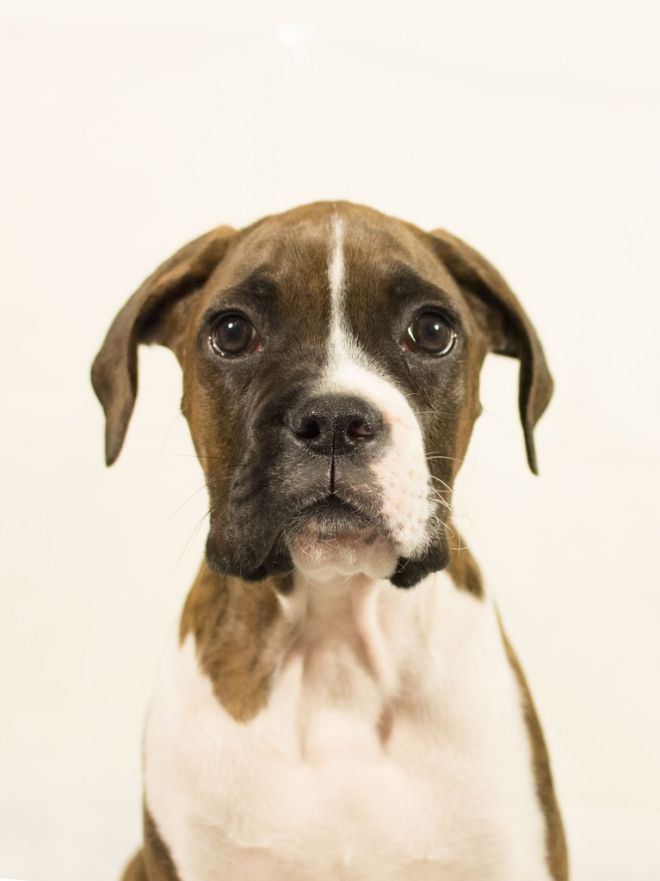 Tétons à l'ancienne - photo 1/25 Tétons à l'ancienne - photo 1/25