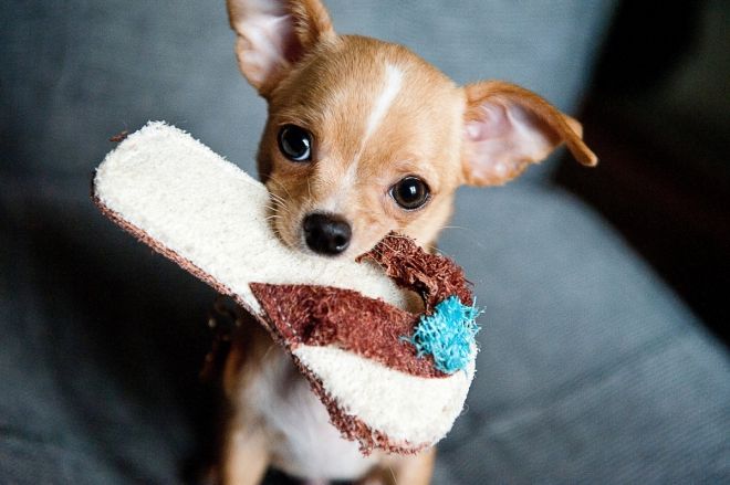 Tétons à l'ancienne - photo 11/25 Tétons à l'ancienne - photo 11/25