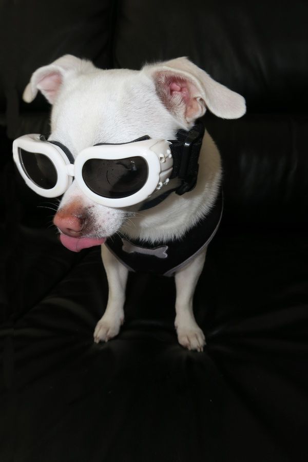 Tétons à l'ancienne - photo 18/25 Tétons à l'ancienne - photo 18/25