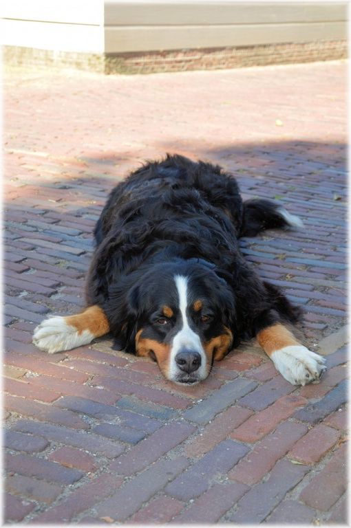 Tétons à l'ancienne - photo 20/25 Tétons à l'ancienne - photo 20/25