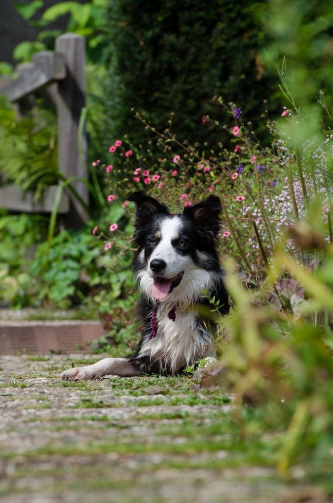 Tétons à l'ancienne - photo 22/25 Tétons à l'ancienne - photo 22/25