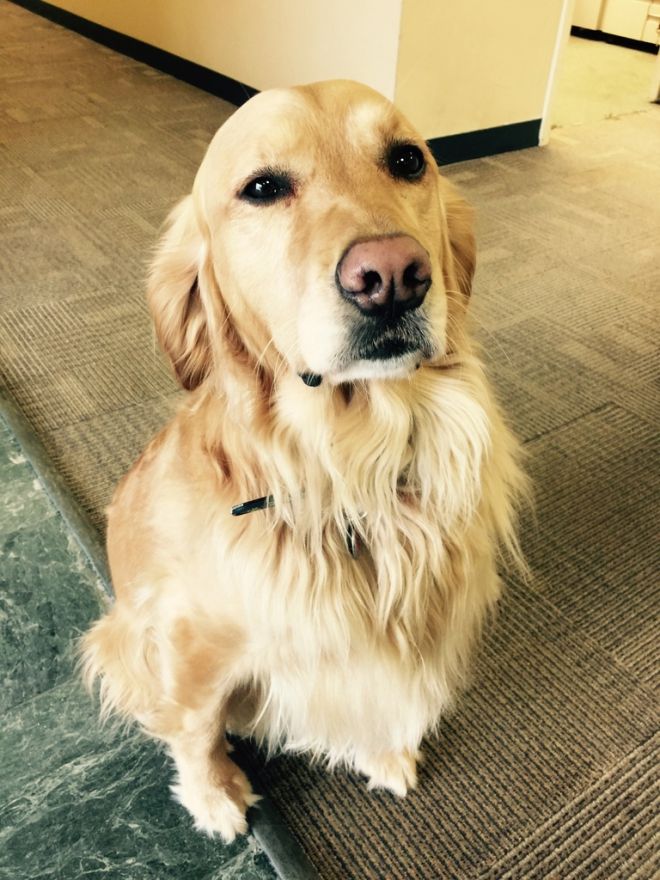 Tétons à l'ancienne - photo 24/25 Tétons à l'ancienne - photo 24/25