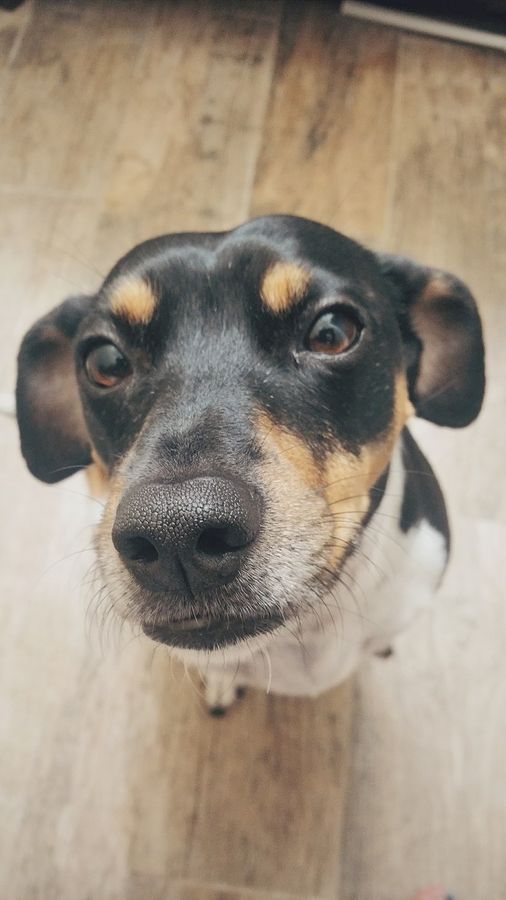 Tétons à l'ancienne - photo 3/25 Tétons à l'ancienne - photo 3/25