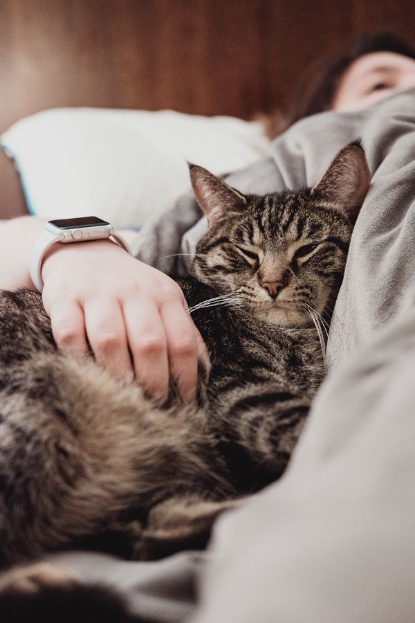 Le Sperme Bien Gluant Ces Coquines Adorent Vraiment ça